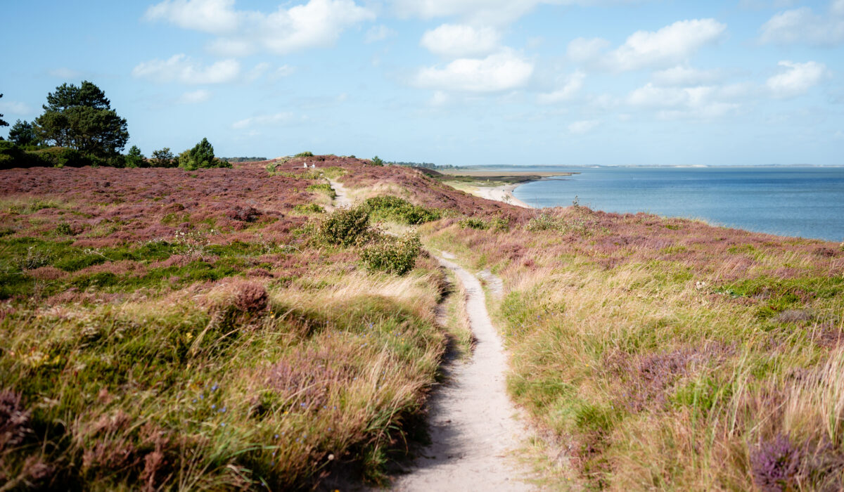 Braderuper Heide Panorama Weg