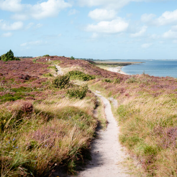 Braderuper Heide Panorama Weg