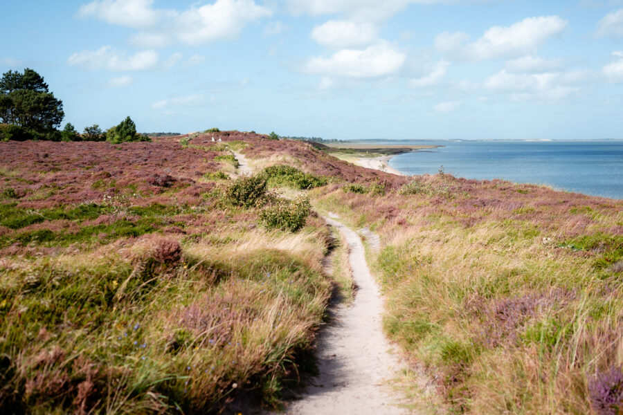 Braderuper Heide Panorama Weg