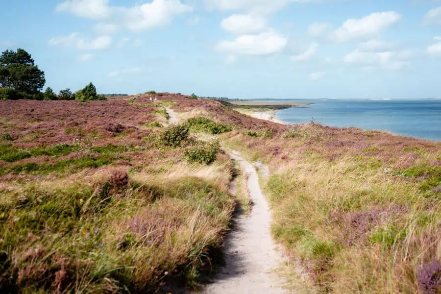 Braderuper Heide Panorama Weg