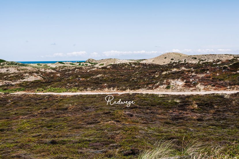 10 Gründe für eine Fahrradtour auf Sylt Sylt Fräulein