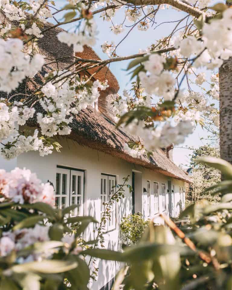 Sylt im Frühling: 10 Dinge, auf die ich mich freue - Sylt Fräulein