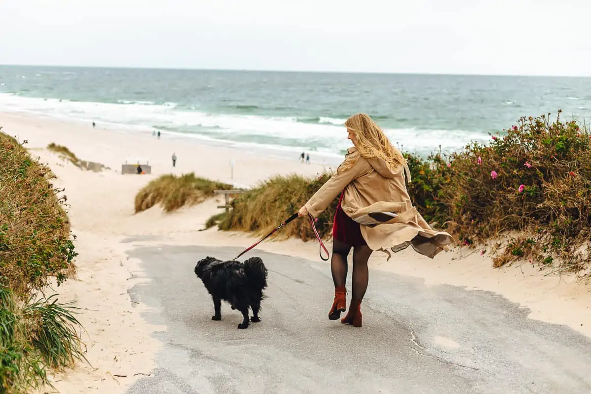 Aktivitäten mit Hund auf Sylt: Strandspaziergänge