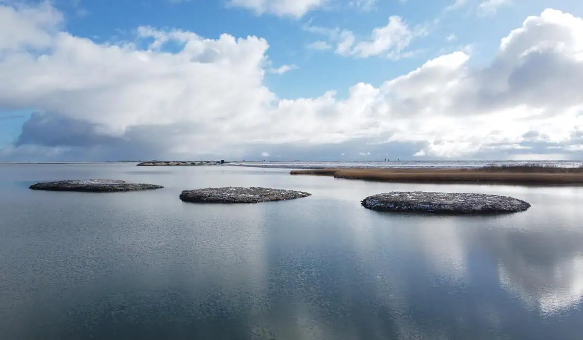 Naturschutzprojekt Blancpain: Drei Sandinseln im Naturschutzgebiet Rantumbecken