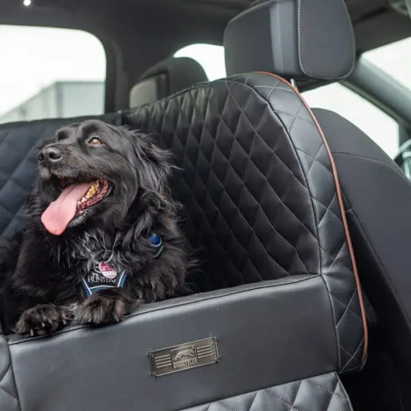 Sylt mit Hunde: Entspannte Anreise mit dem Auto und Sylt Shuttle