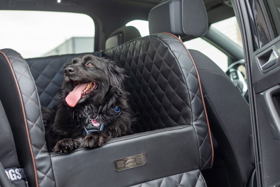 Sylt mit Hunde: Entspannte Anreise mit dem Auto und Sylt Shuttle