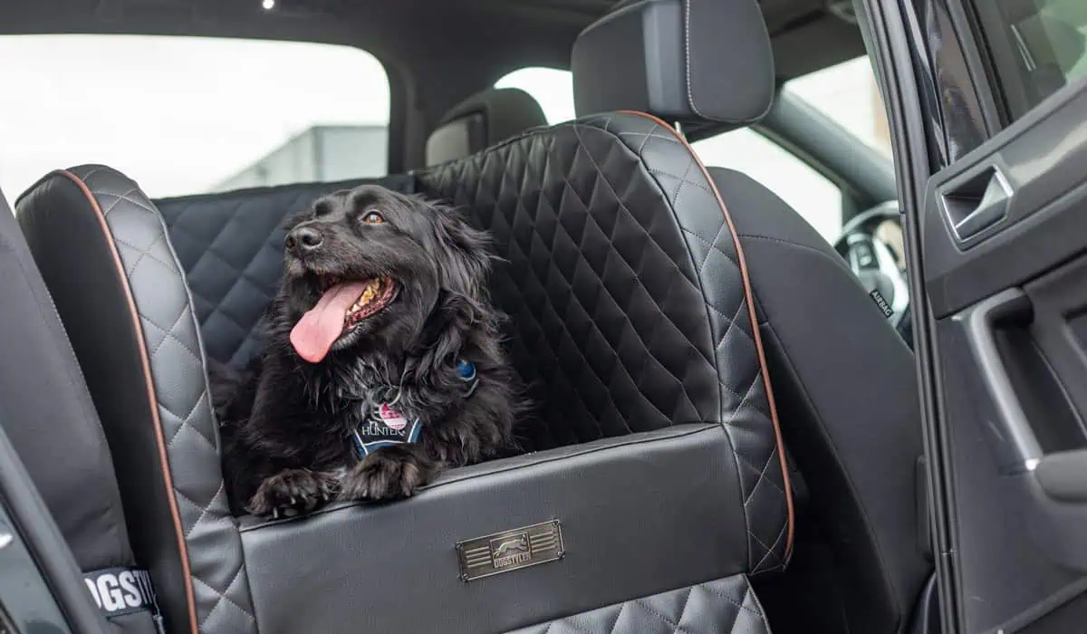 Sylt mit Hunde: Entspannte Anreise mit dem Auto und Sylt Shuttle