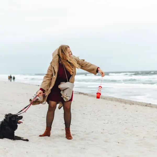 Aktivitäten mit Sylt auf Hunde: Spielen am Hundestrand