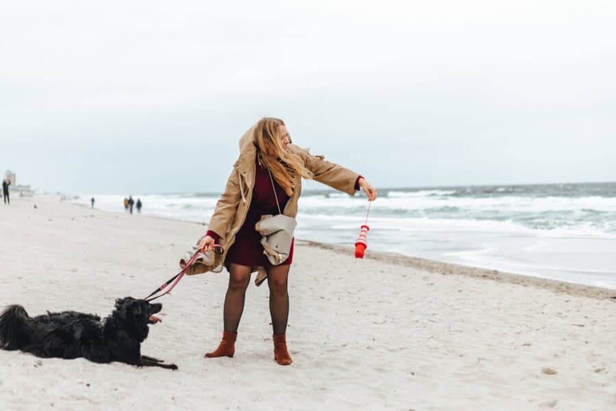 Aktivitäten mit Sylt auf Hunde: Spielen am Hundestrand