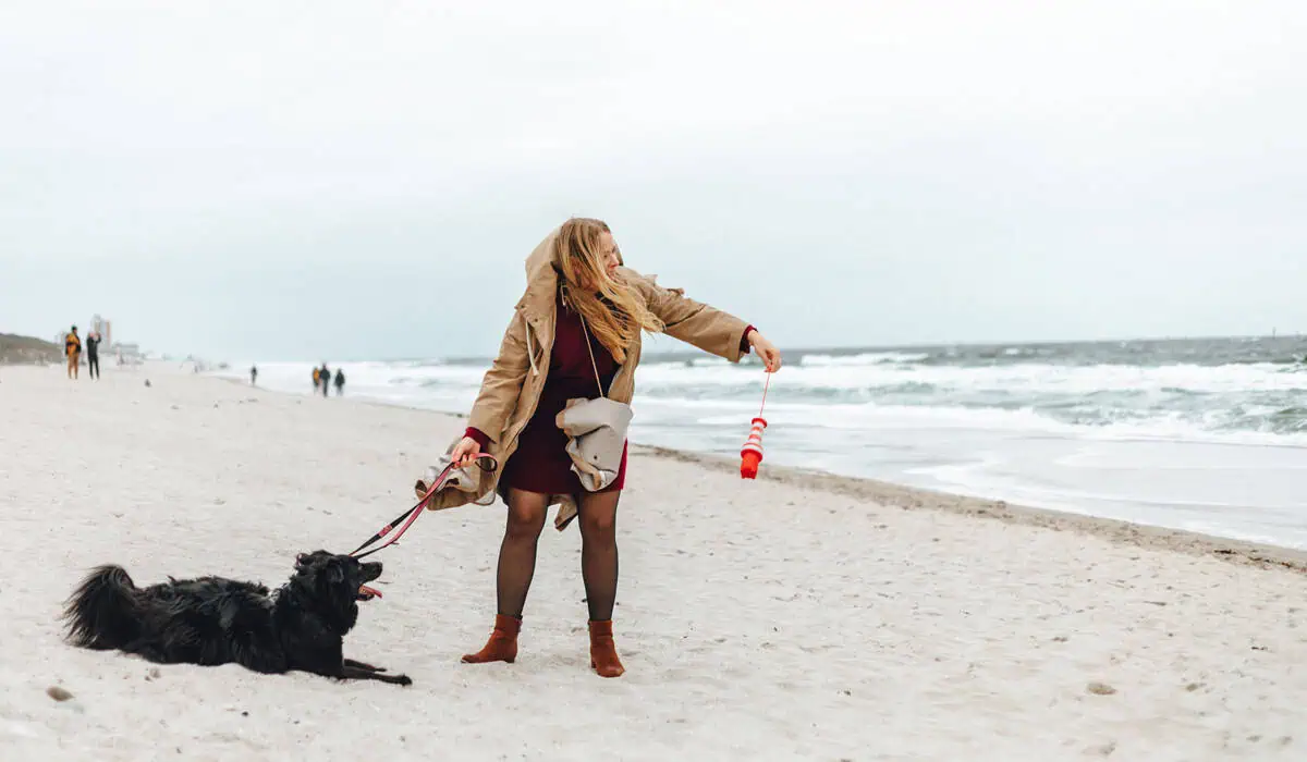 Aktivitäten mit Sylt auf Hunde: Spielen am Hundestrand