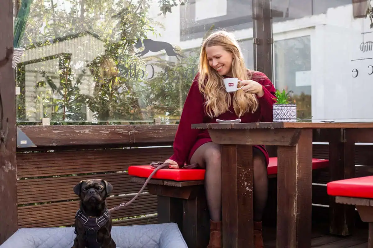 Aktivitäten auf Sylt mit Hunde: Kaffee trinken 