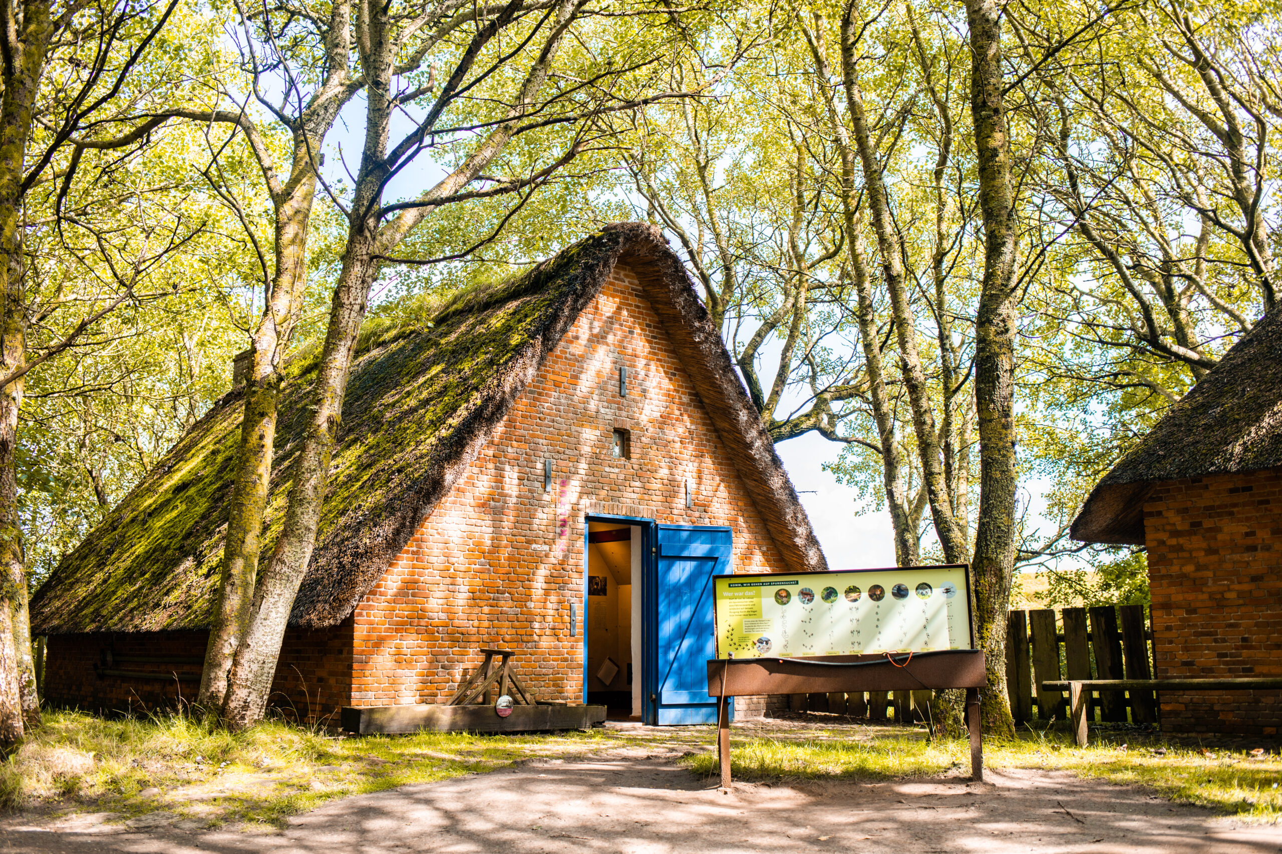 Vogelkoje Kampen: Museum