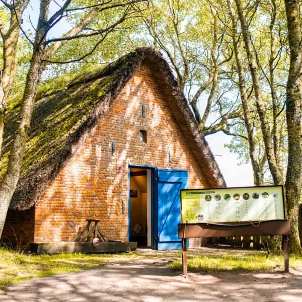 Vogelkoje Kampen Sylt Museums